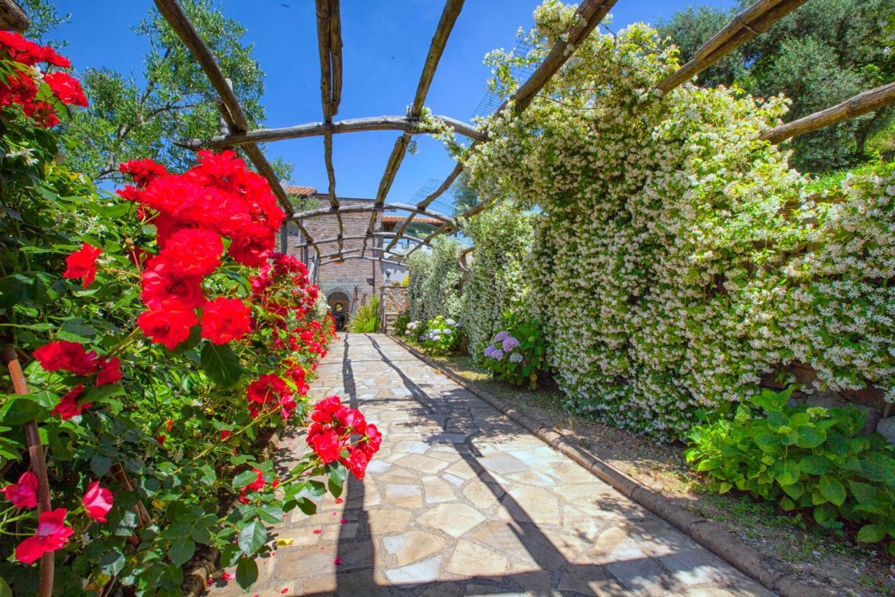 Montebosco Luxury Country House Piano di Sorrento Zewnętrze zdjęcie