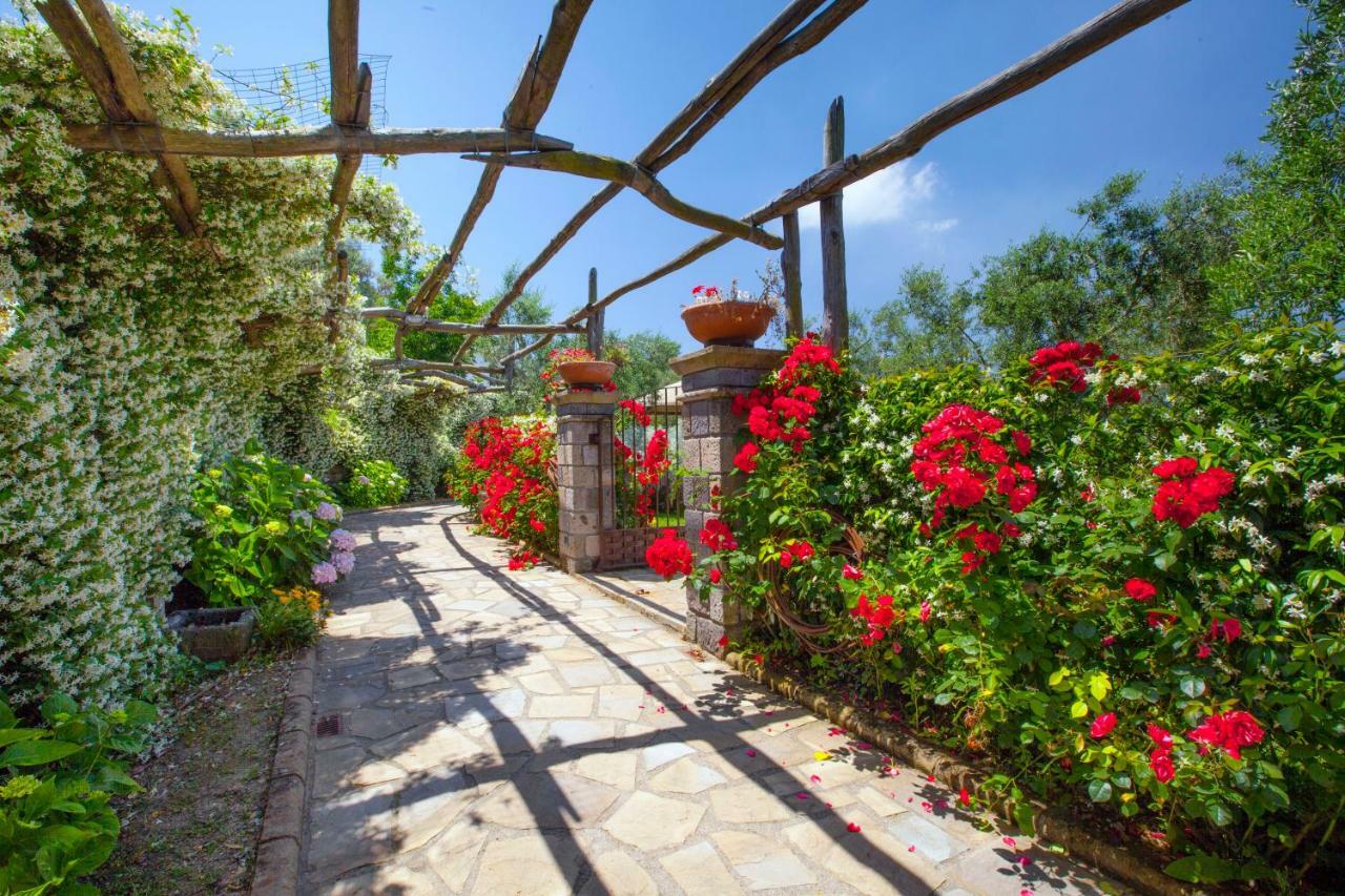 Montebosco Luxury Country House Piano di Sorrento Zewnętrze zdjęcie